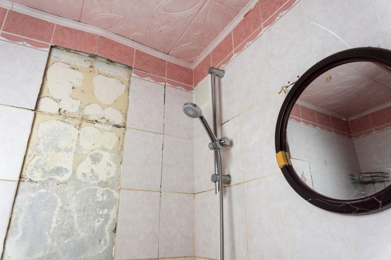 Top Shower Remodeling Companies in Desoto, TX