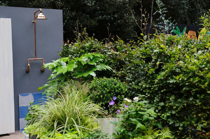 Top Tub To Shower Conversion Companies in Colleyville, TX