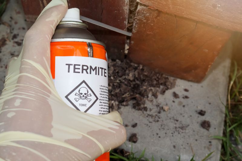 Termite Inspection Service